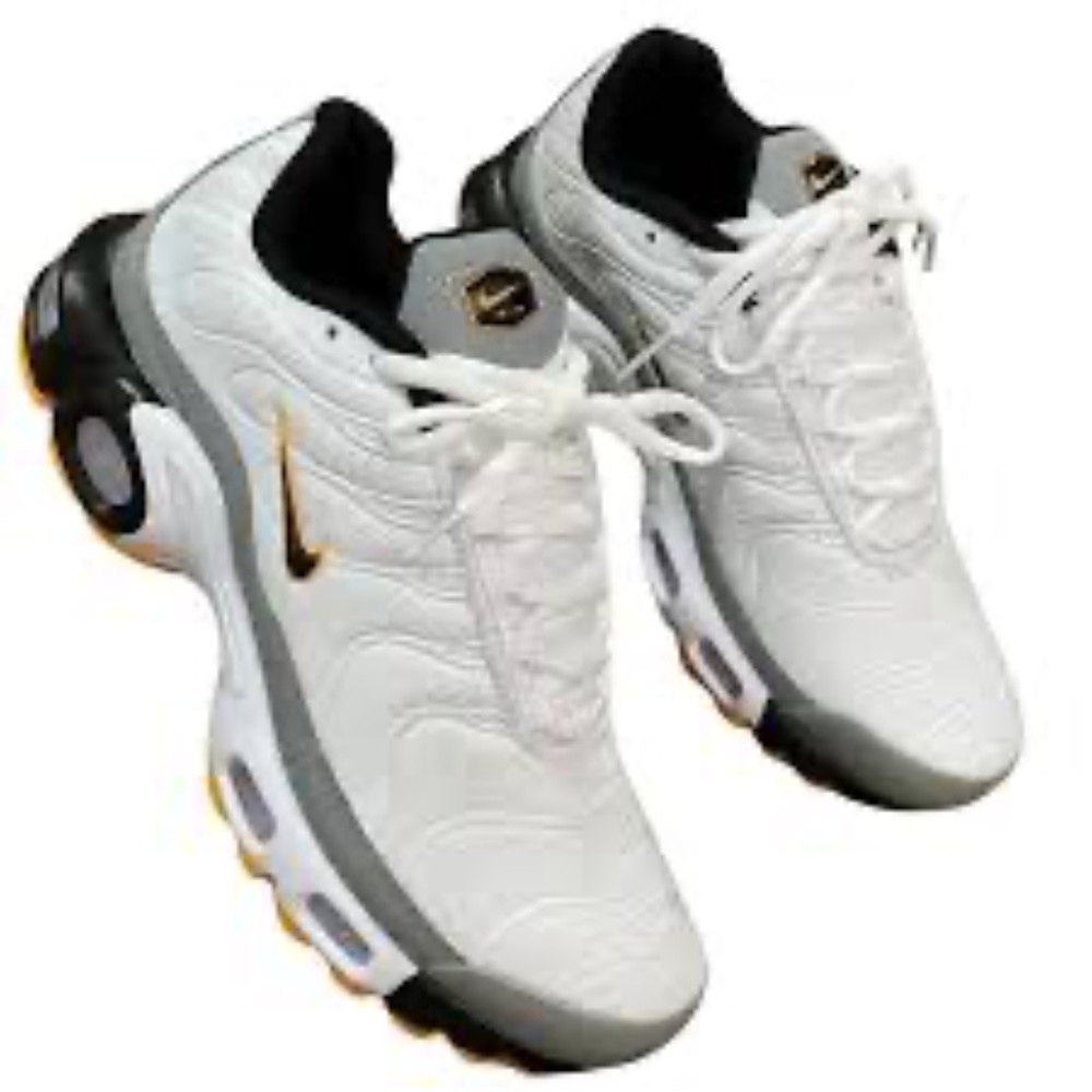 Men’s Nike Air Max Plus Nike TN